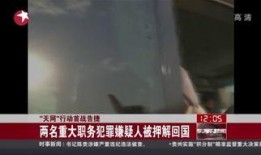 天网2015全集在线观看,揭秘网络犯罪背后的真相